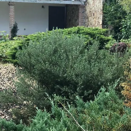 La Casa Dell'orso * Selargius