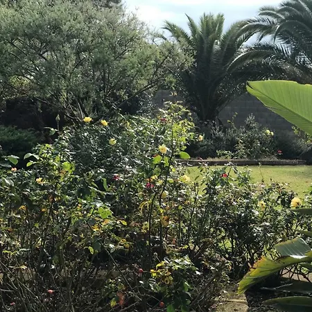 La Casa Dell'orso * Selargius
